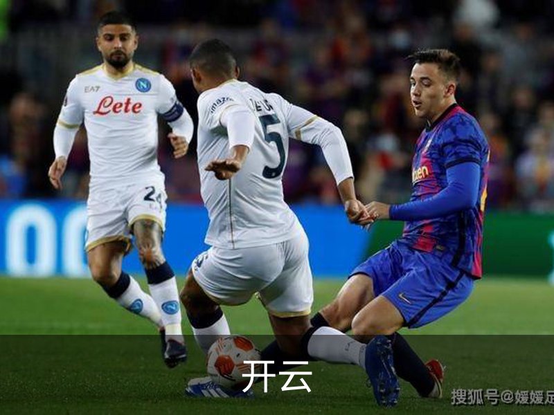 开云·体育 (kaiyun)官方网站_KAIYUN SPORT